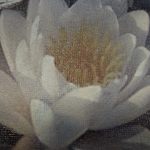 Детали картины "Водяные лилии в воде"